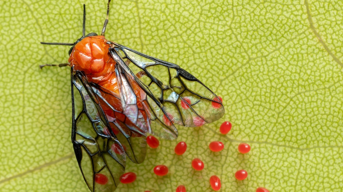 See our favorite pictures of 2025 taken by … you