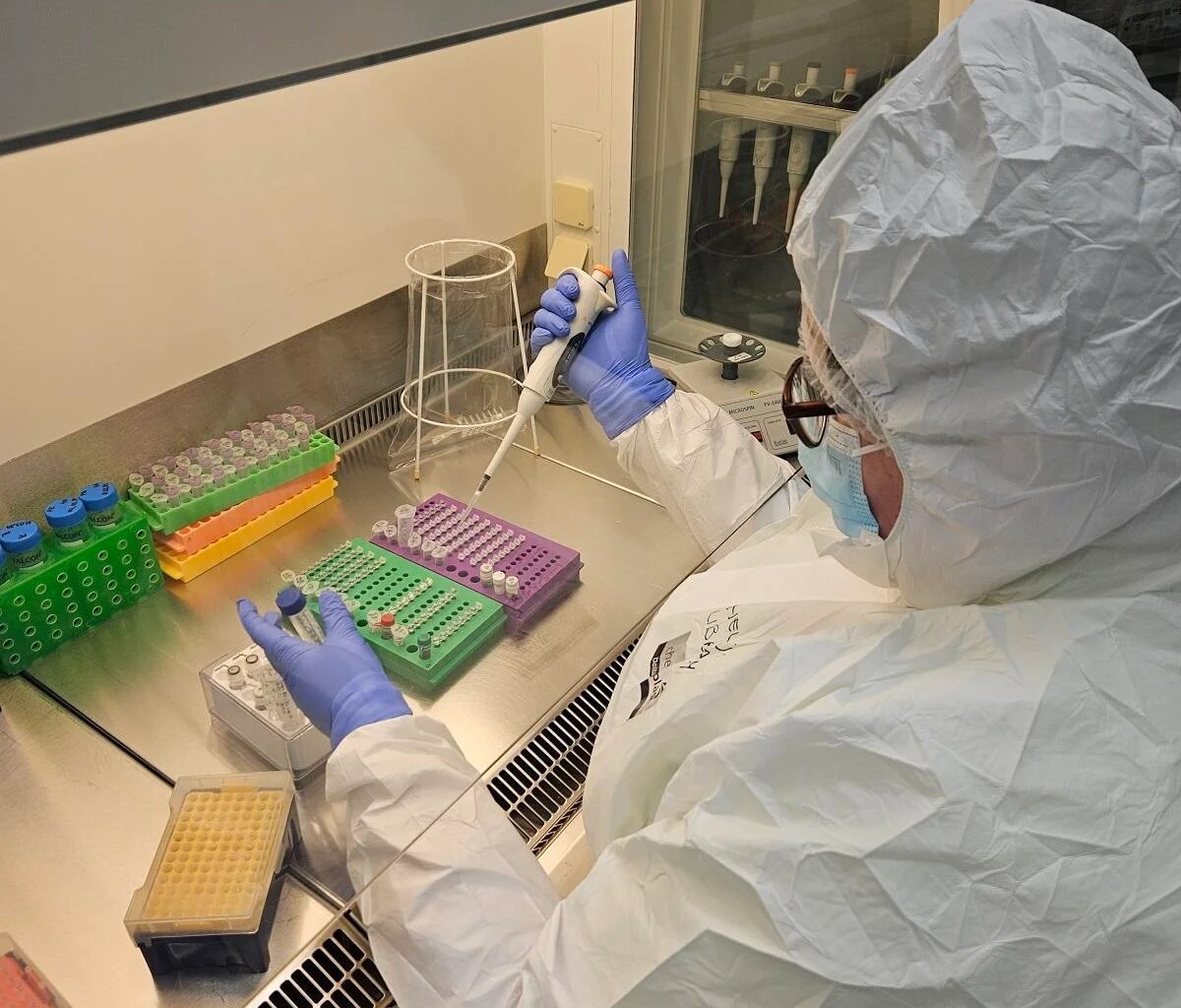 Ancient herpesvirus genomes reveal a 2,500-year history of human infection