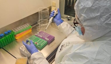 Ancient herpesvirus genomes reveal a 2,500-year history of human infection