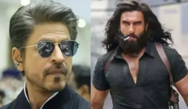 Shah Rukh Khan To Return To Don 3 After 'Dhurandhar' Actor, Ranveer's Exit, Lays A Special Condition