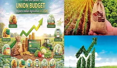 Unlocking India's agricultural growth-from welfare to reform