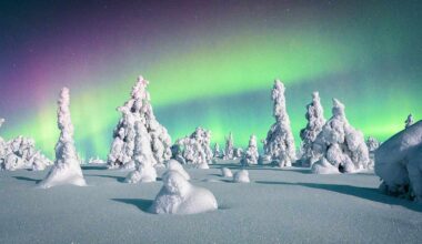 How to Watch the Northern Lights Tonight