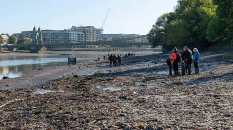 Port of London Authority A group of people are inspecting and gathering on a mucky, muddy riverbank, with trees lining one side. In the background, you can see city buildings, a crane, and a bridge stretching across the river.
