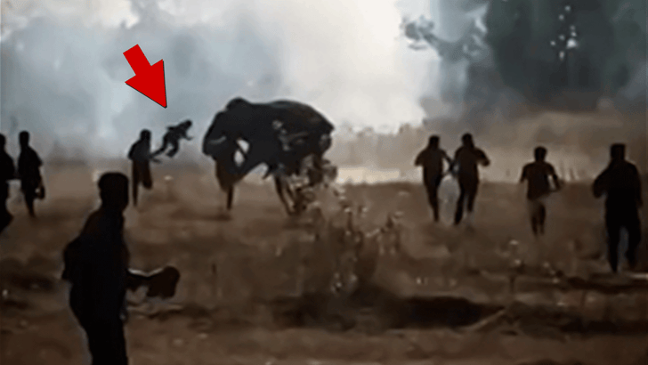 011926_killer_elephant_kal