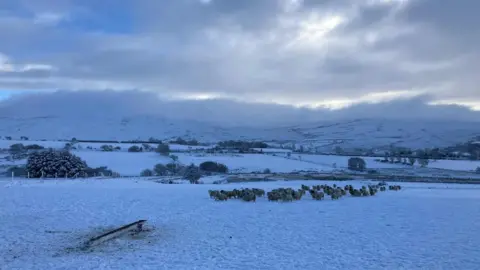 A flock of sheep in a field covered in snow with hills in the background and white fluffy clouds.