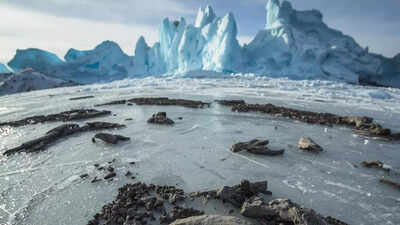 Baby dinosaur fossils found in Arctic permafrost reveal how dinosaurs survived polar winters