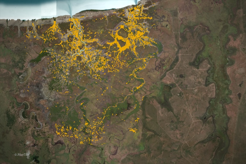 A map shows sections of the NT where mangroves were in 1985.