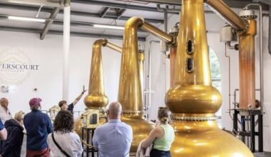 Powerscourt Distillery to be sold to US investment firm with ‘significant investment plans’