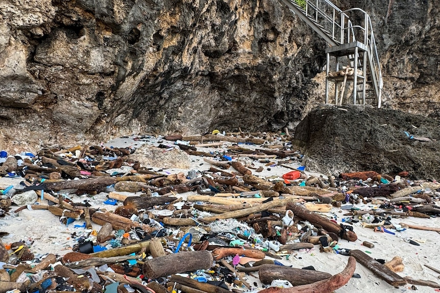 A beach strewn with plastic and wooden debris with metal steps leading down from a cliff top.