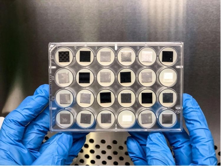 This preflight image shows the Space Biofilms experiment setup, using a standard 24-well lab plate with fungal samples, where each well holds a small surface piece coated with fungal spores. (Credit: NASA)