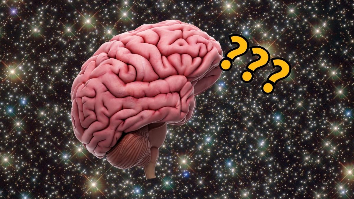 Astronauts Return to Earth With Lasting Brain Changes : ScienceAlert