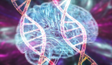 'Junk' DNA Could Hide Switches That Allow Alzheimer's to Take Hold : ScienceAlert