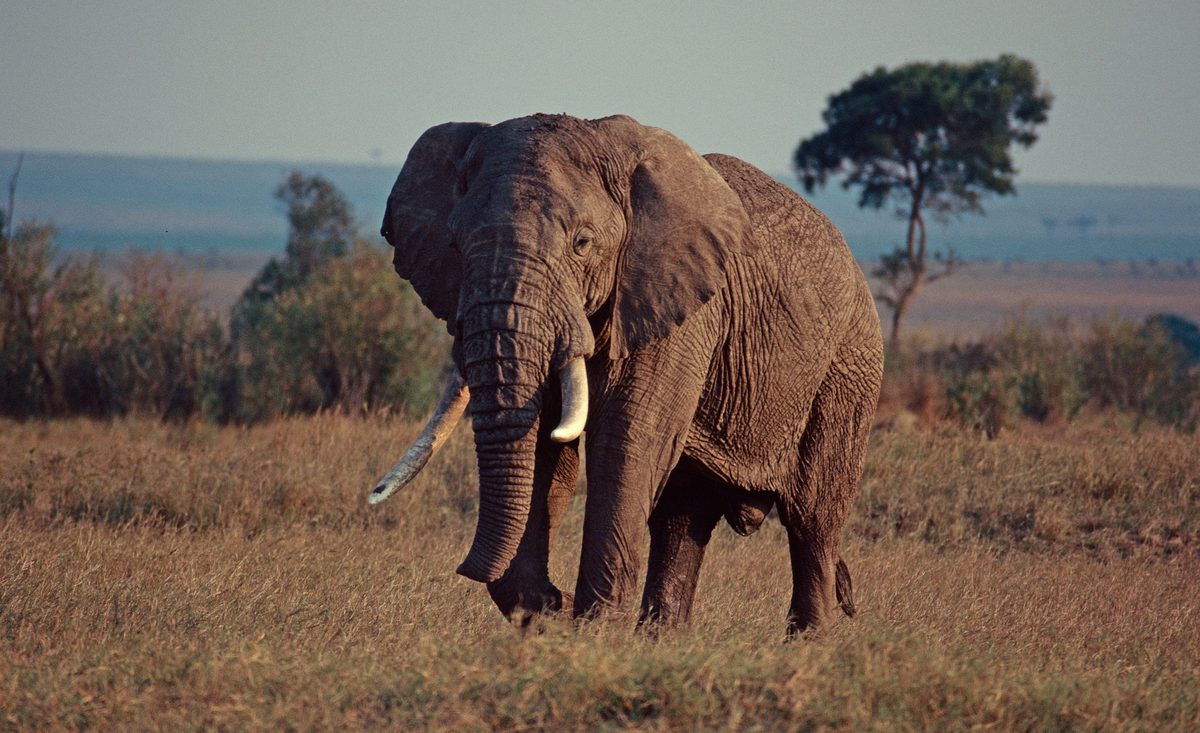 Aqua Nera boat on the Amazon River