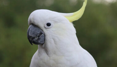 Yahoo lifestyle home