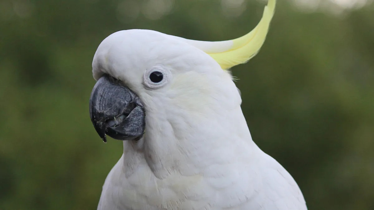 Yahoo lifestyle home