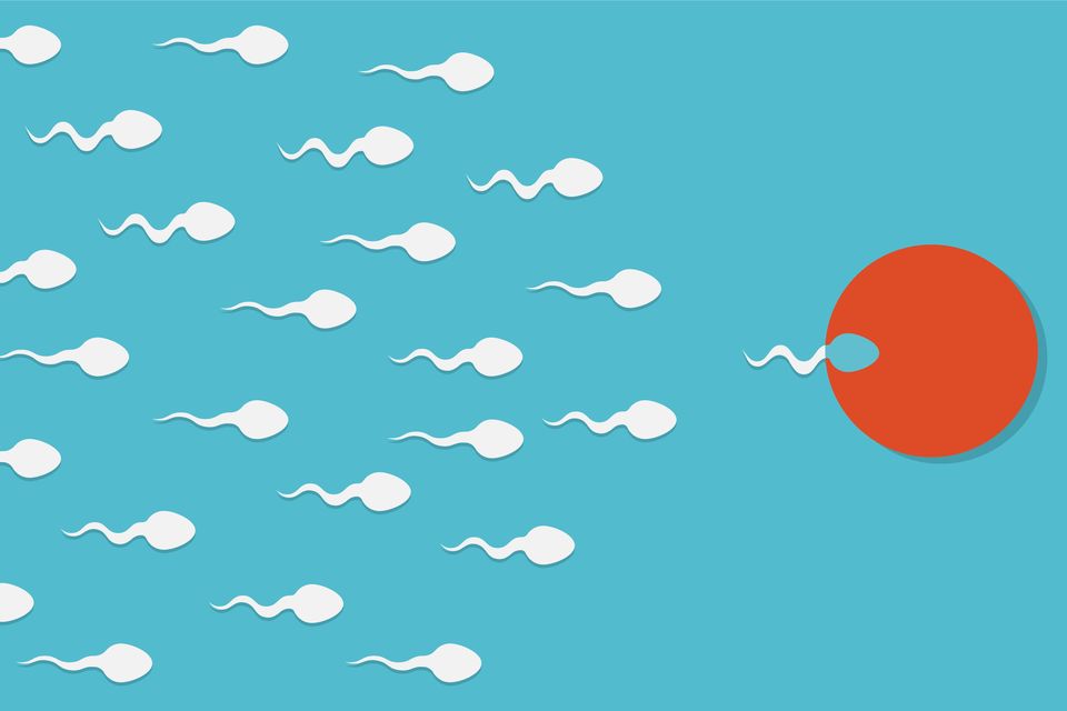 There are a number of factors that can affect sperm quality