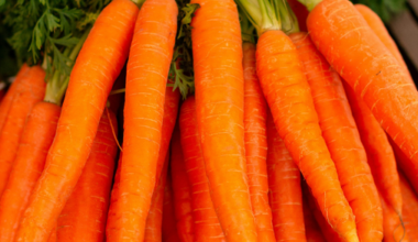 Why Winter Is the Best Time To Eat Root Vegetables for Immunity & Digestion - The Better India