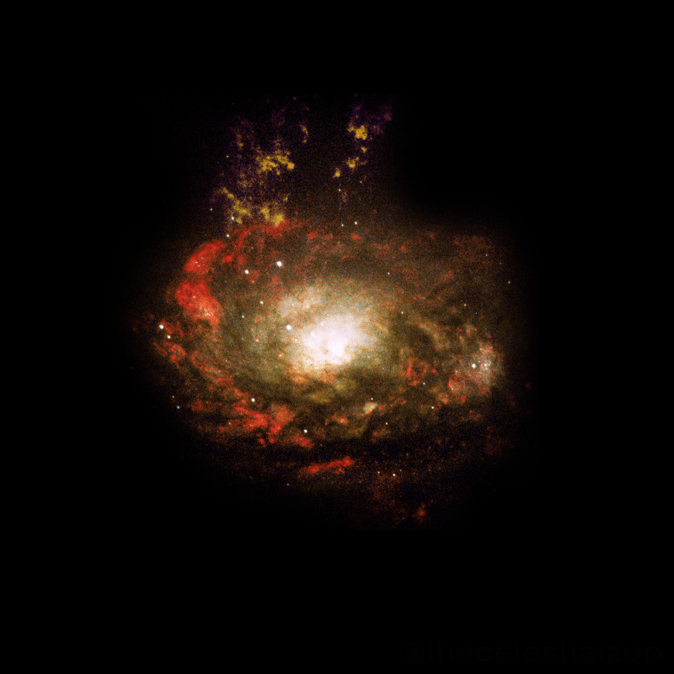 Circinus Galaxy