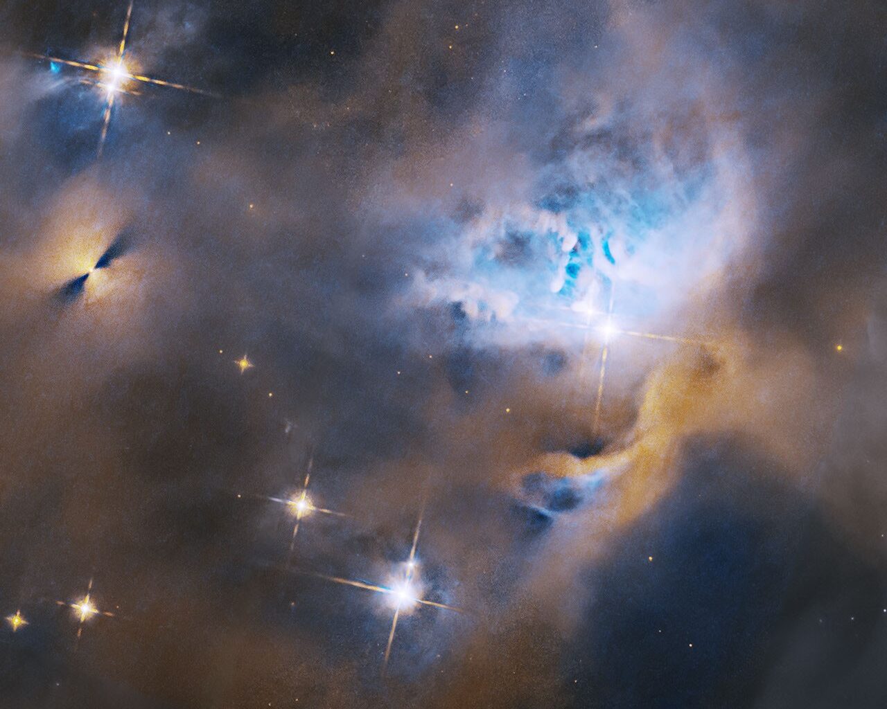 Hubble Nets Menagerie of Young Stellar Objects