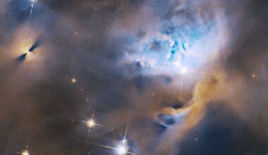 Hubble Nets Menagerie of Young Stellar Objects