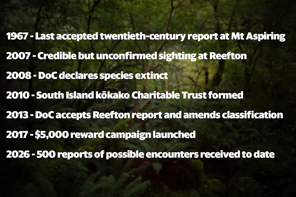 A chart that contains the following information: 1. 1967 Mt Aspiring record – last accepted twentieth century report 2. 2007 Reefton sighting 3. 2008 Department of Conservation declare it extinct 4. 2010 Trust formed 2013 Department of Conservation accepted Reefton report and amended classification to ‘data deficient’ 5. 2017 $5,000 reward campaign launched January, bumped up to $10,000 in April 2026, nine years on, over 500 reports of possible encounters have been received.
