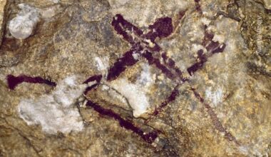 Oldest known poison arrows show Stone Age humans’ technological talents