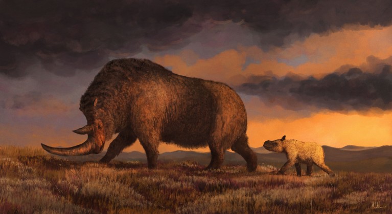 Illustration of a woolly rhinoceros with two horns, one very large, a humped back and thick coat of long hair, walking across a steppe landscape with its calf