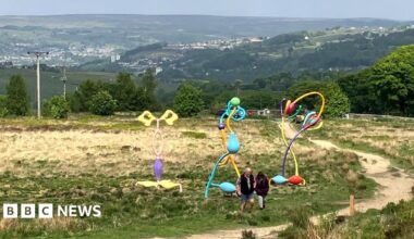 Inside the Factory: Oven Chips
