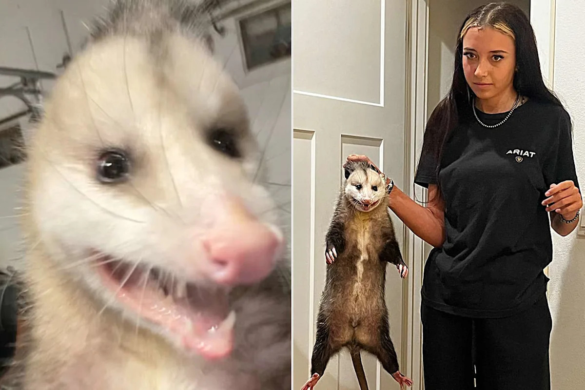 16-Year-Old Catches Opossum and Brings It into Parents’ Bedroom, but Mom Says It’s a Normal Occurrence (Exclusive)