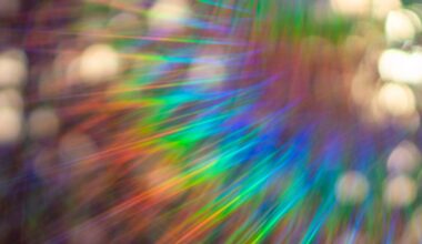 In 1927, Bohr And Einstein Had A Debate About Complementarity. A New Experiment Just Proved One Of Them Wrong – Again.