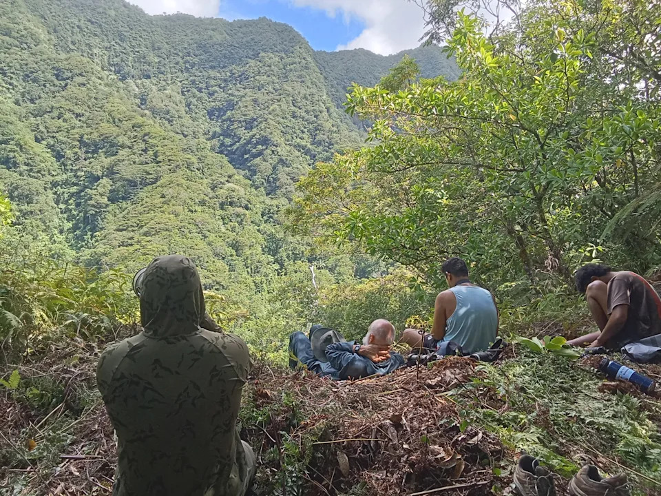 A group of people sitting on a hill in the jungle