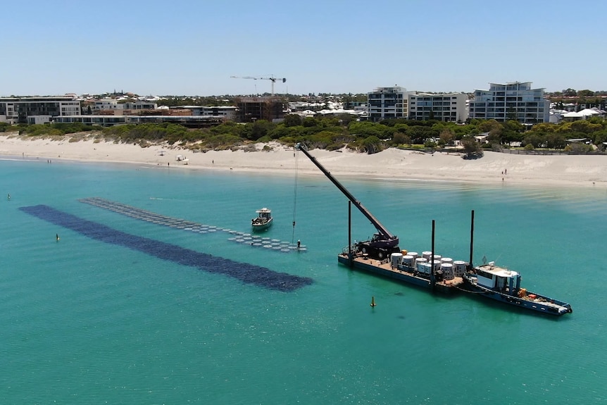A drone photo of a barge lowering concrete cylinders into shallow waters, forming an artificial reef.