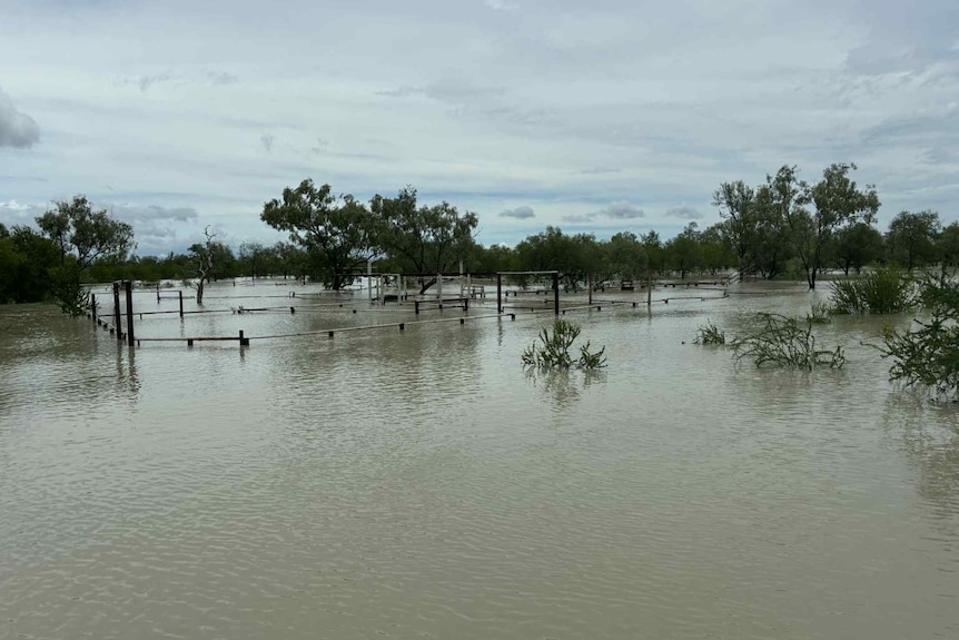 A cattle yard underwater. 