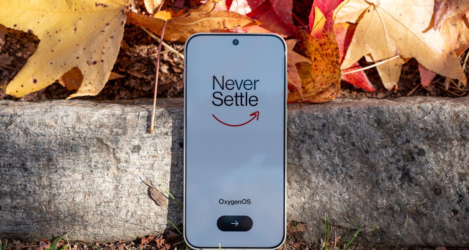 OnePlus is more important than you think, especially for people like me