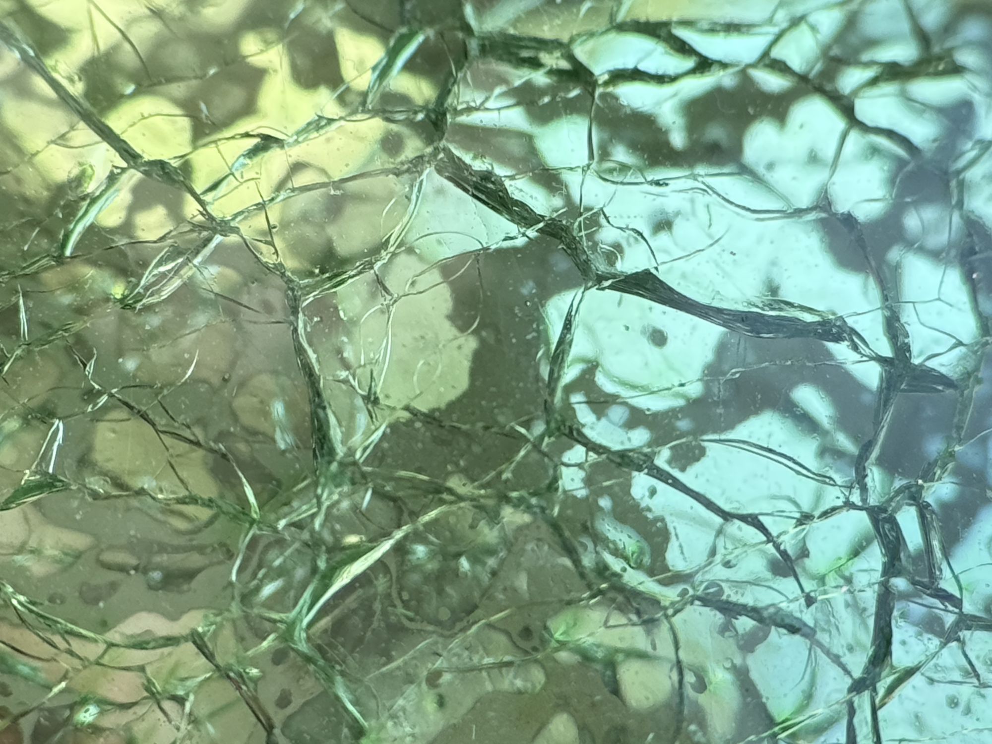 Shiftcam 240mm Super Zoom Tele macro sample.