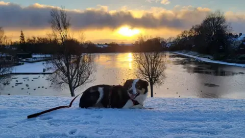 BBC WEATHER WATCHER - Conzo A black, white and brown dog lying down in the snow in front of a lake with the sun in the background.