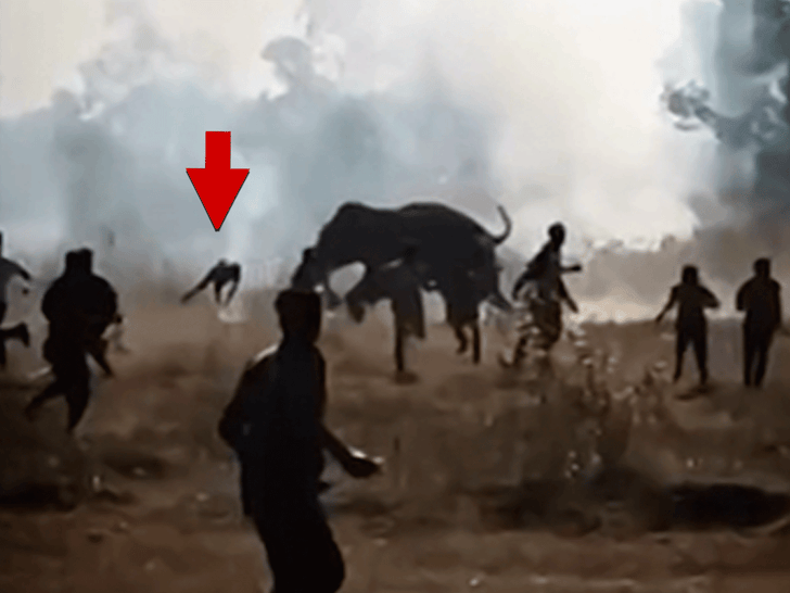 011926_killer_elephant_kick_primary