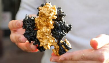 Rare 'Brain on Fire' disorder highlighted in Netflix film may soon have new treatments