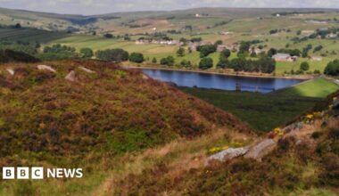 A reservoir sits in a valley. The hills around it are picturesque and sunlit.