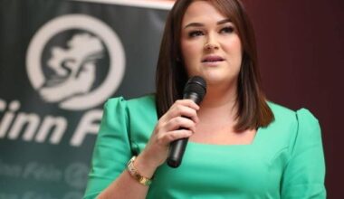 Ireland’s mental health services ‘failing people in crisis’, Louth TD warns