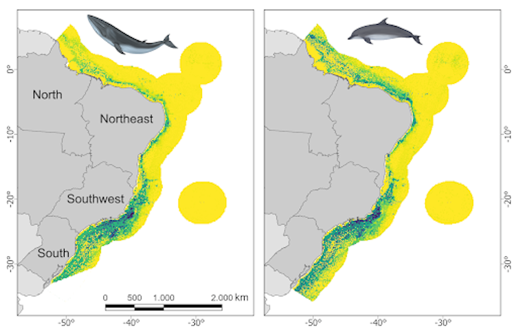 a map of Brazil shows lots of overlap between offshore animal habitats and human activity, particularly in the south and southwest