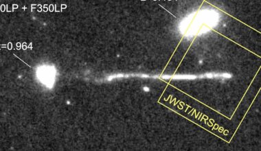 New fear unlocked: runaway black holes