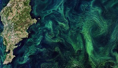 Climate engineering would alter the oceans, reshaping marine life – our new study examines each method’s risks
