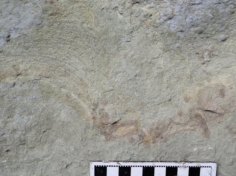 Rocky surface with faint outline of three toes