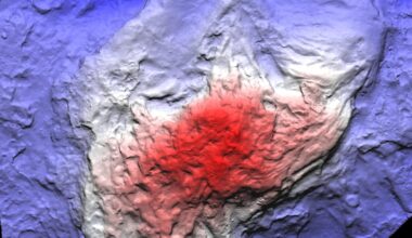 Fossil hunters find a new dinosaur track site on South Africa’s coast – the youngest so far