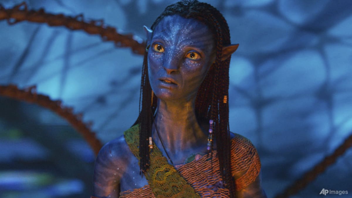 Avatar: Fire And Ash leads North American box office for fourth week