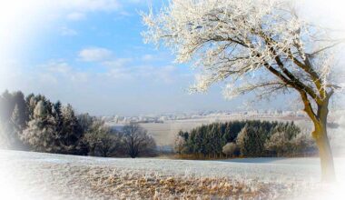 2025 Identified As Ireland’s Second Warmest Year On Record. « Thurles Information