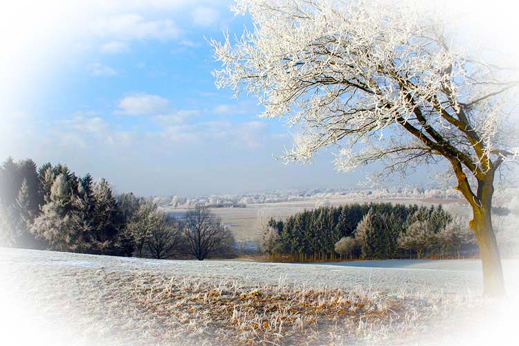 2025 Identified As Ireland’s Second Warmest Year On Record. « Thurles Information