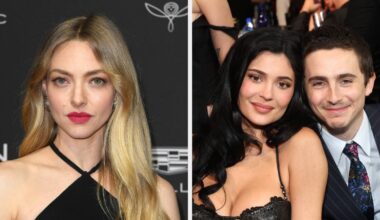 Amanda Seyfried's Bizarre Comment About Timothée Chalamet's Kylie Jenner Shoutout Has Fans Baffled - BuzzFeed