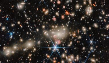 A myriad of tiny distant galaxies, with a group of very many small foreground galaxies.